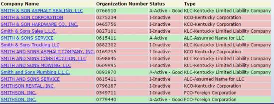 Kentucky Secretary of State business entity search by name or organization number results.