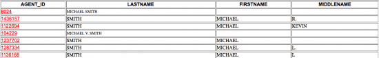 Arizona Secretary of State partnership search by applicant/agent name results.