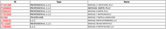 Arizona Secretary of State partnership search by registered name results.